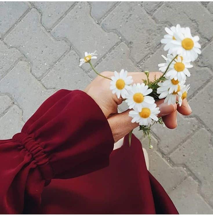 عکس دختر با گل بابونه 6
