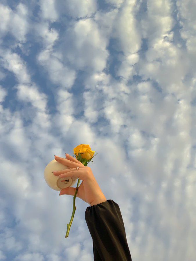 عکس دختر با گل رز زرد 16