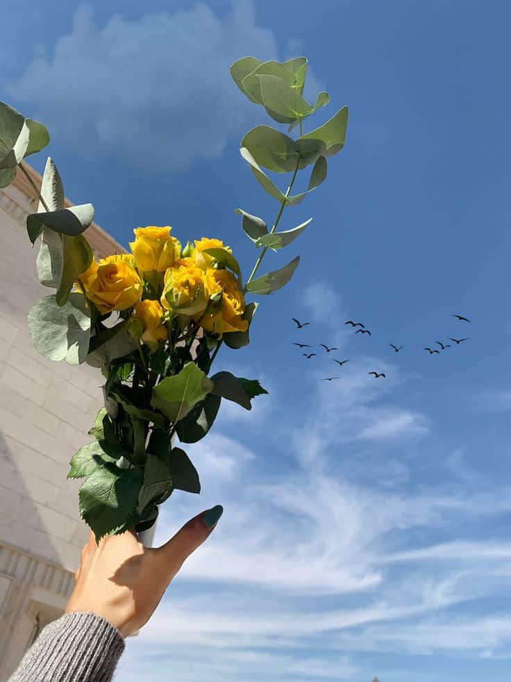 عکس دختر با گل رز زرد 2