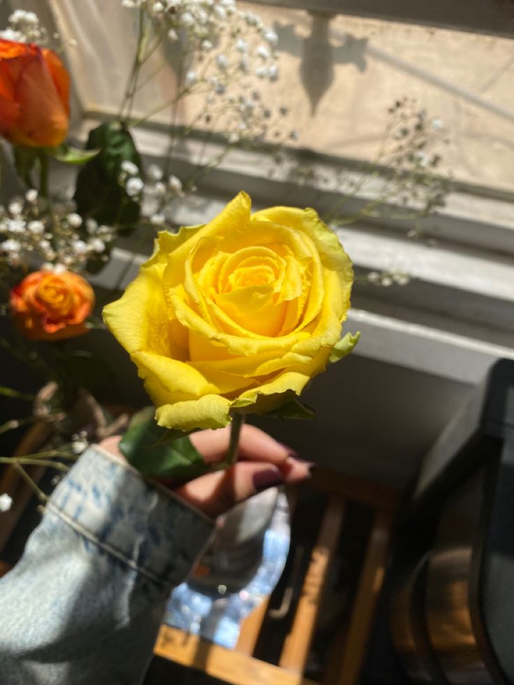 عکس دختر با گل رز زرد 20