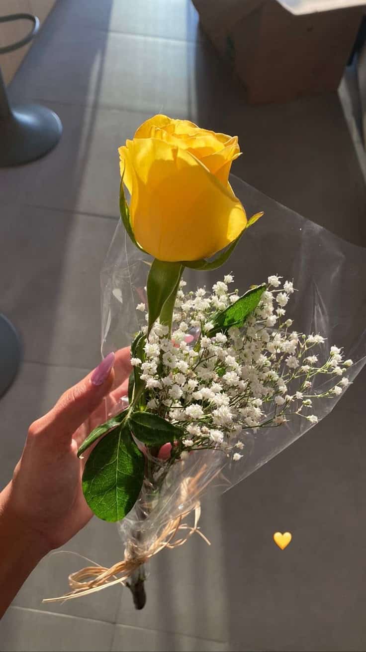 عکس دختر با گل رز زرد 24