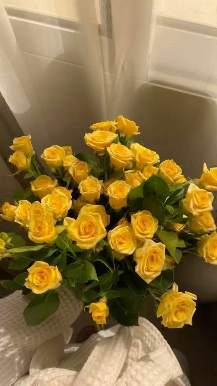 عکس دختر با گل رز زرد 31