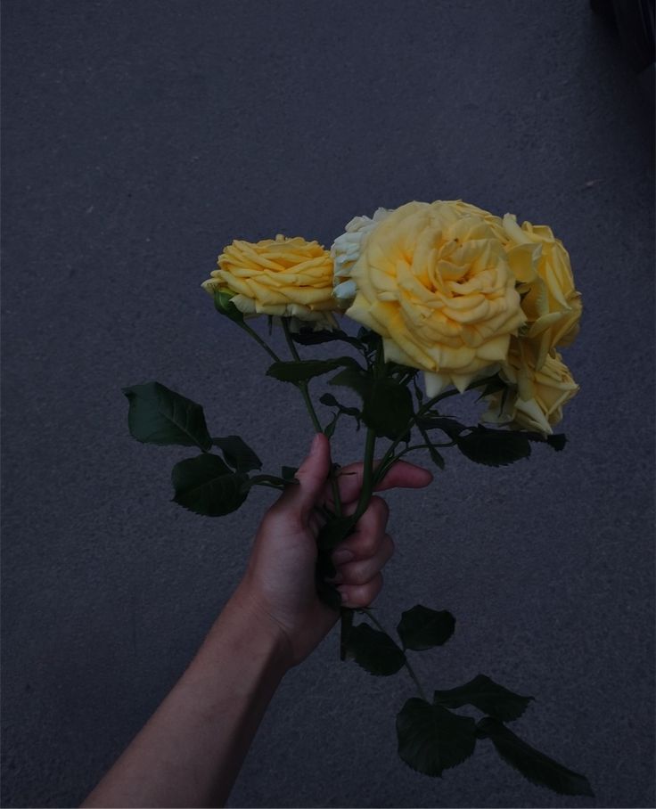 عکس دختر با گل رز زرد 37