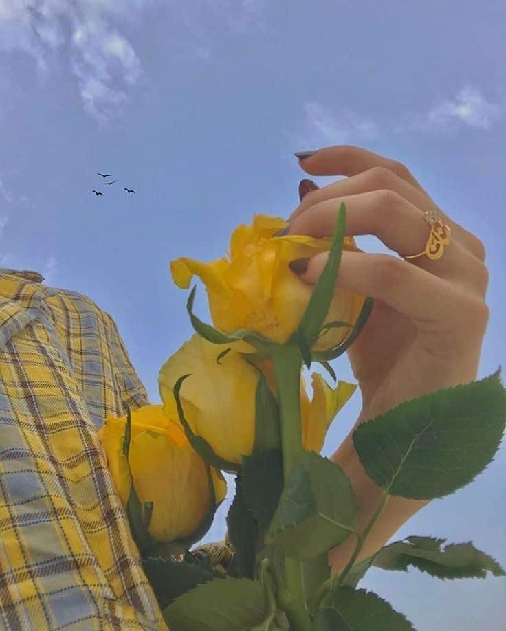 عکس دختر با گل رز زرد 39