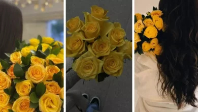 عکس دختر با گل رز زرد برای پروفایل 💛 [خاص و لاکچری]