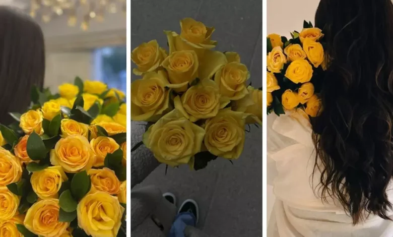 عکس دختر با گل رز زرد برای پروفایل 💛 [خاص و لاکچری]