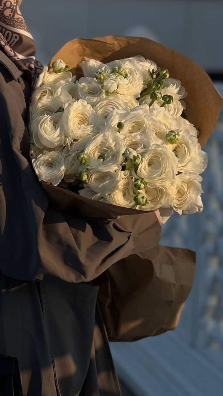 عکس دختر با گل رز سفید 6