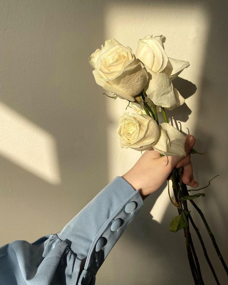 عکس دختر با گل رز سفید 9