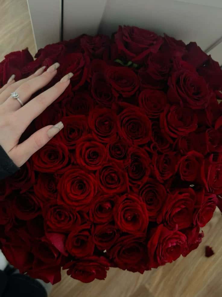 عکس دختر با گل رز قرمز 37