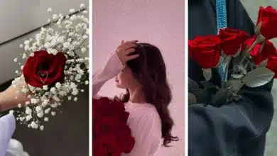 عکس دختر با گل رز قرمز برای پروفایل ♥️ [لاکچری و خاص]