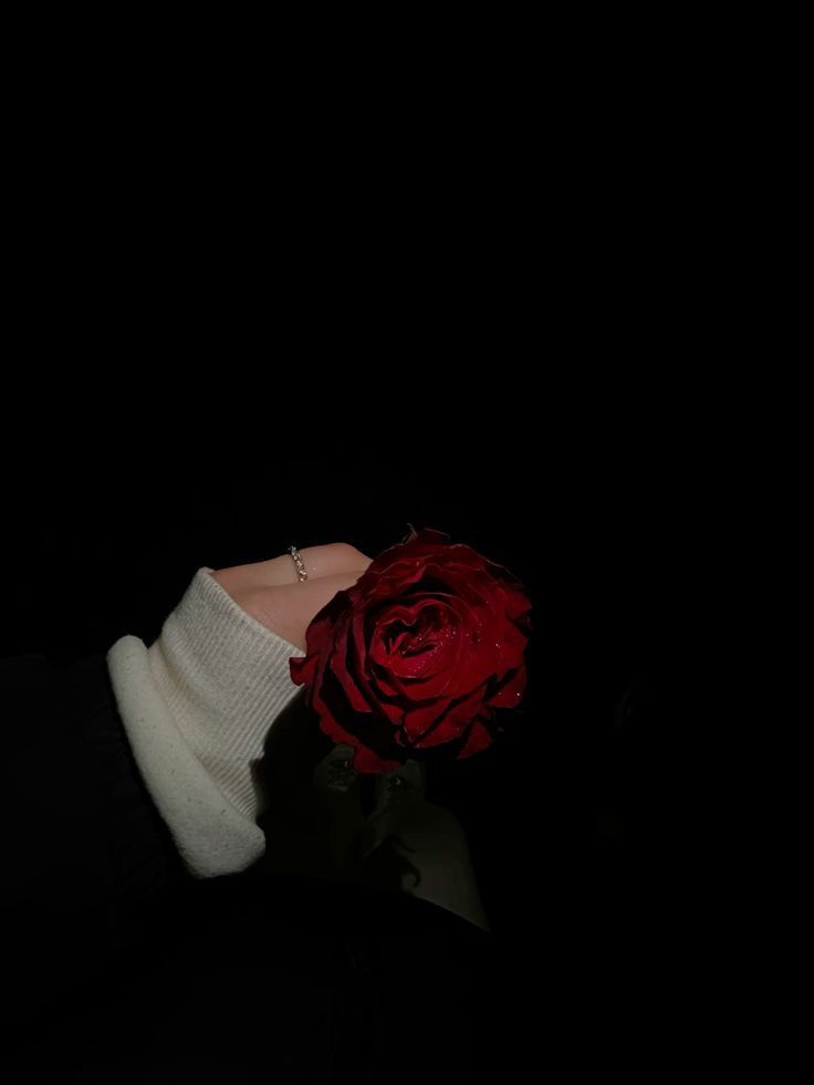 عکس دختر با گل رز قرمز -52 عکس دختر با گل رز قرمز 52