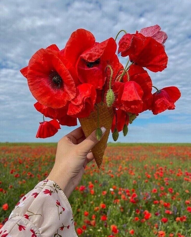 عکس دختر با گل شقایق 19