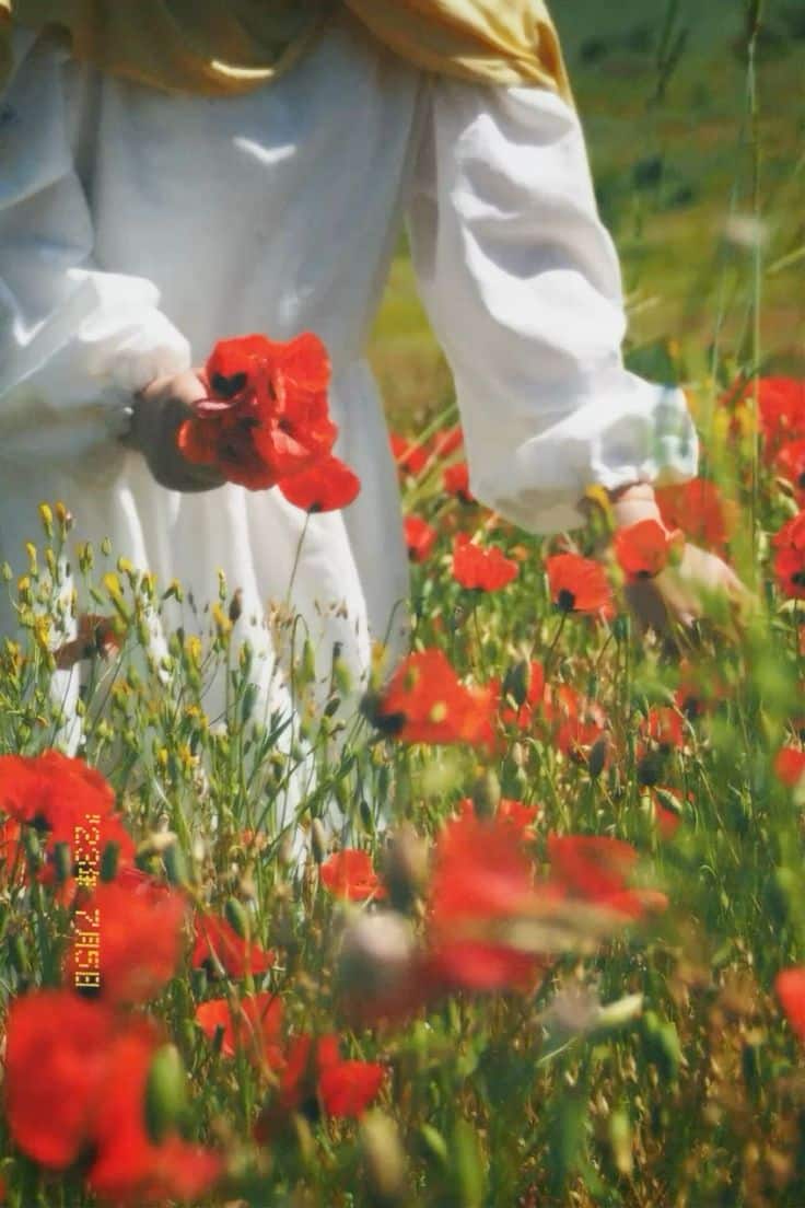 عکس دختر با گل شقایق 25