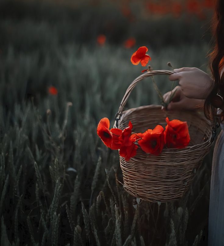 عکس دختر با گل شقایق 48
