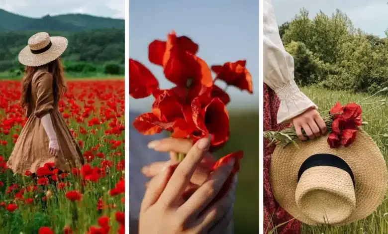 دانلود عکس دختر با گل شقایق برای پروفایل ♥️ [زیبا و احساسی]