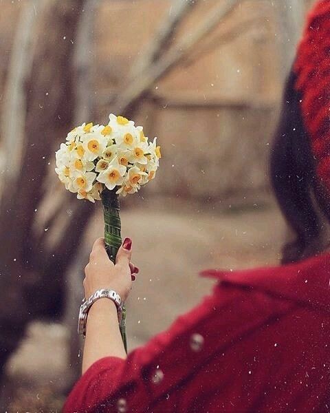 عکس دختر با گل نرگس 12