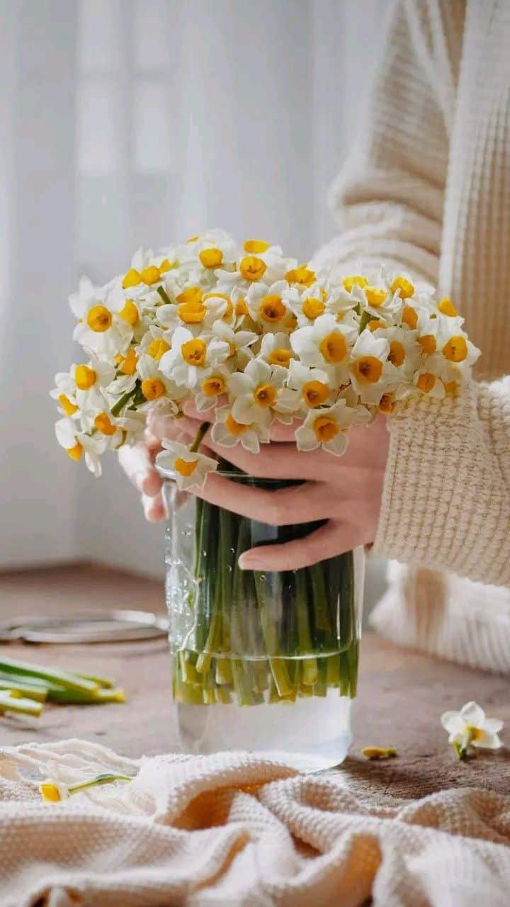 عکس دختر با گل نرگس 18