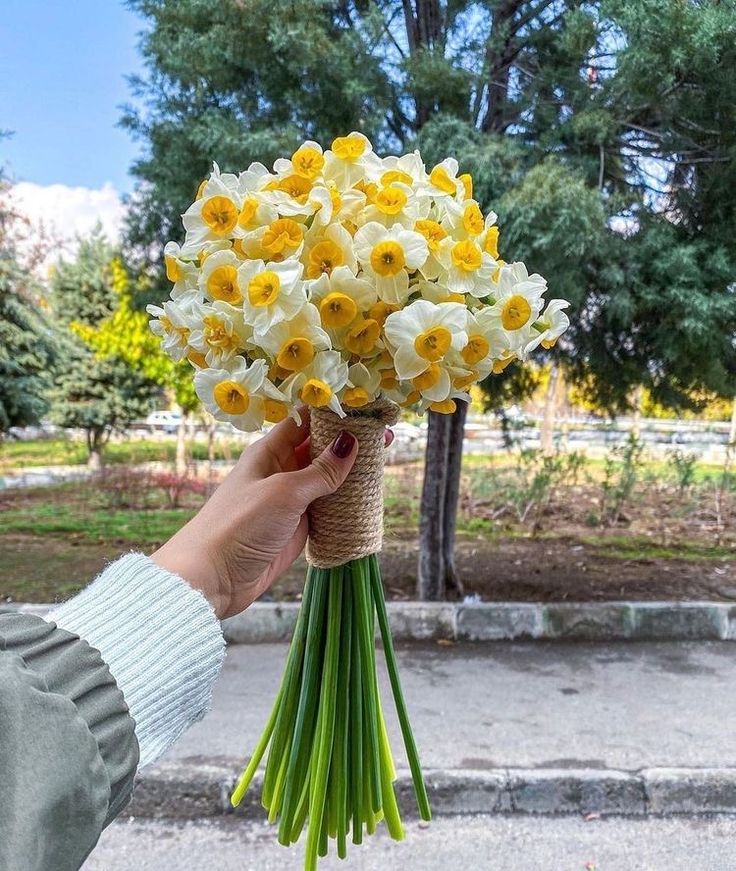عکس دختر با گل نرگس 25