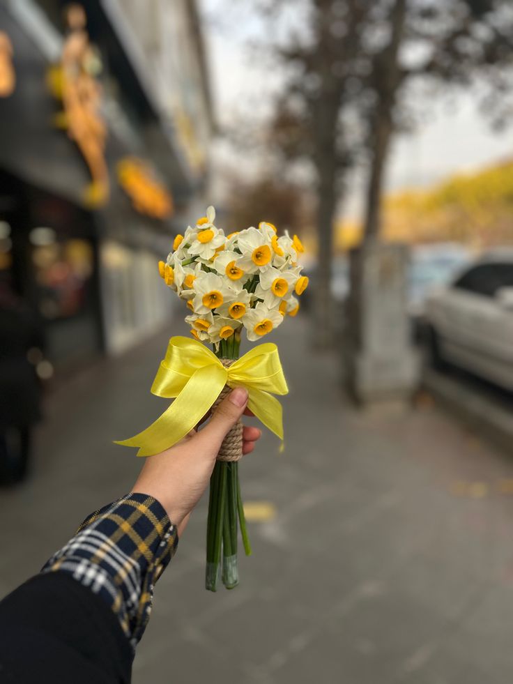 عکس دختر با گل نرگس 33