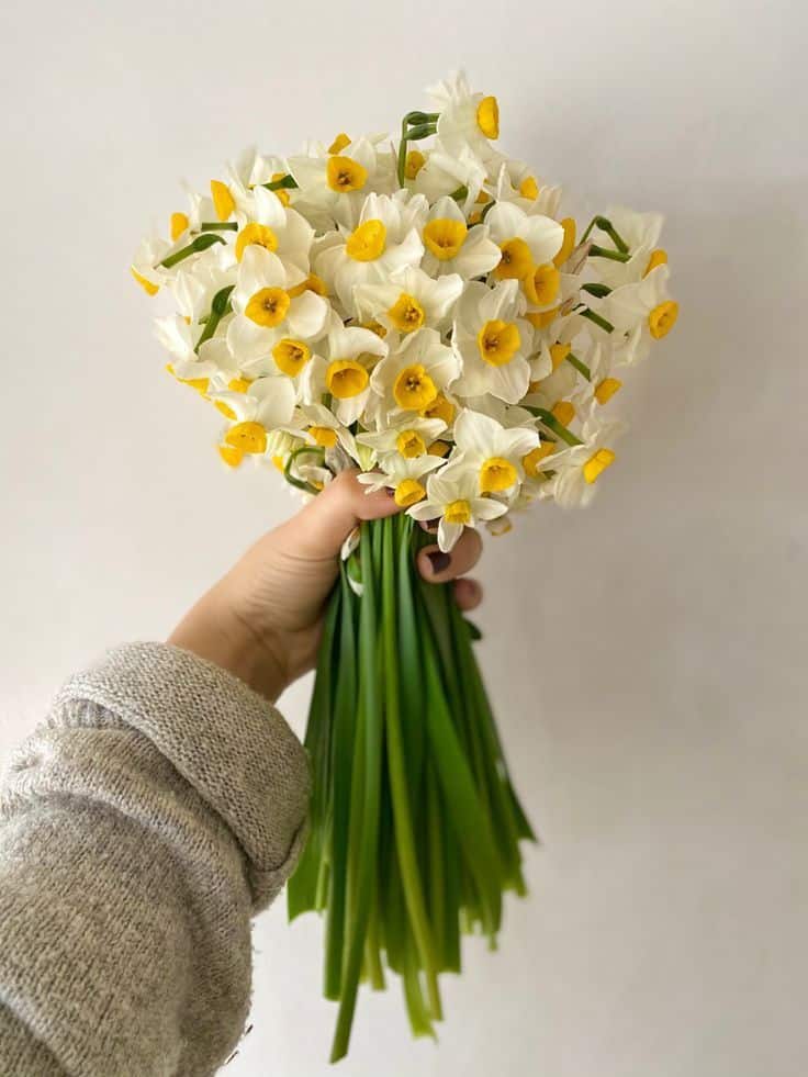 عکس دختر با گل نرگس 35