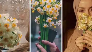 عکس دختر با گل نرگس برای پروفایل ♥️ [خاص و جدید]