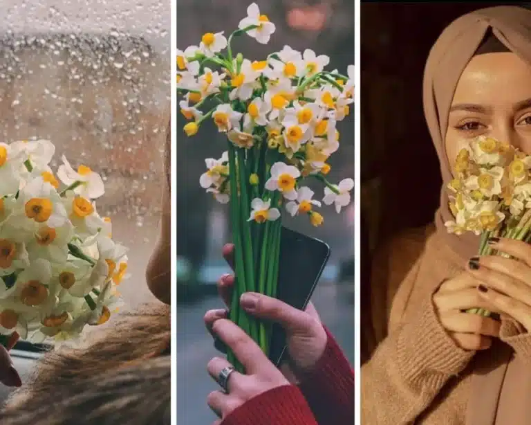 عکس دختر با گل نرگس برای پروفایل ♥️ [خاص و جدید]