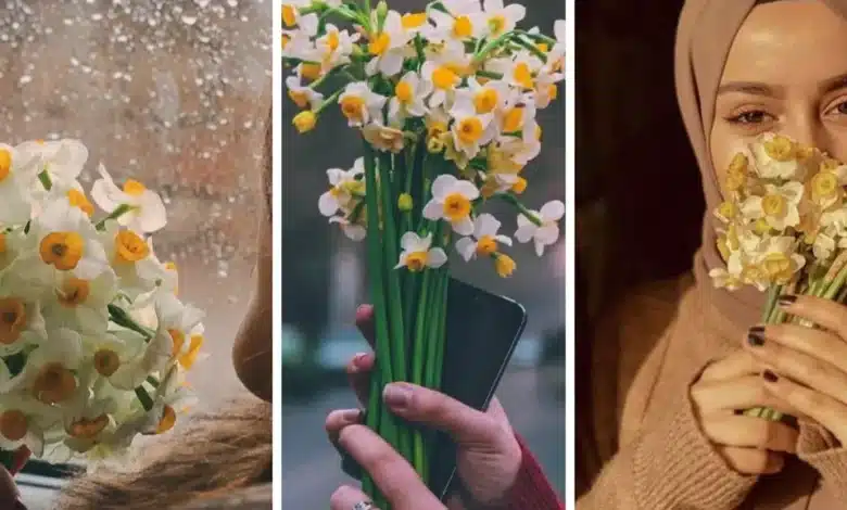 عکس دختر با گل نرگس برای پروفایل ♥️ [خاص و جدید]