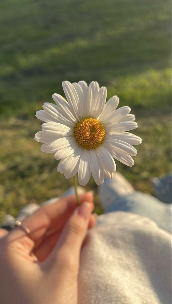 عکس دست دختر 29