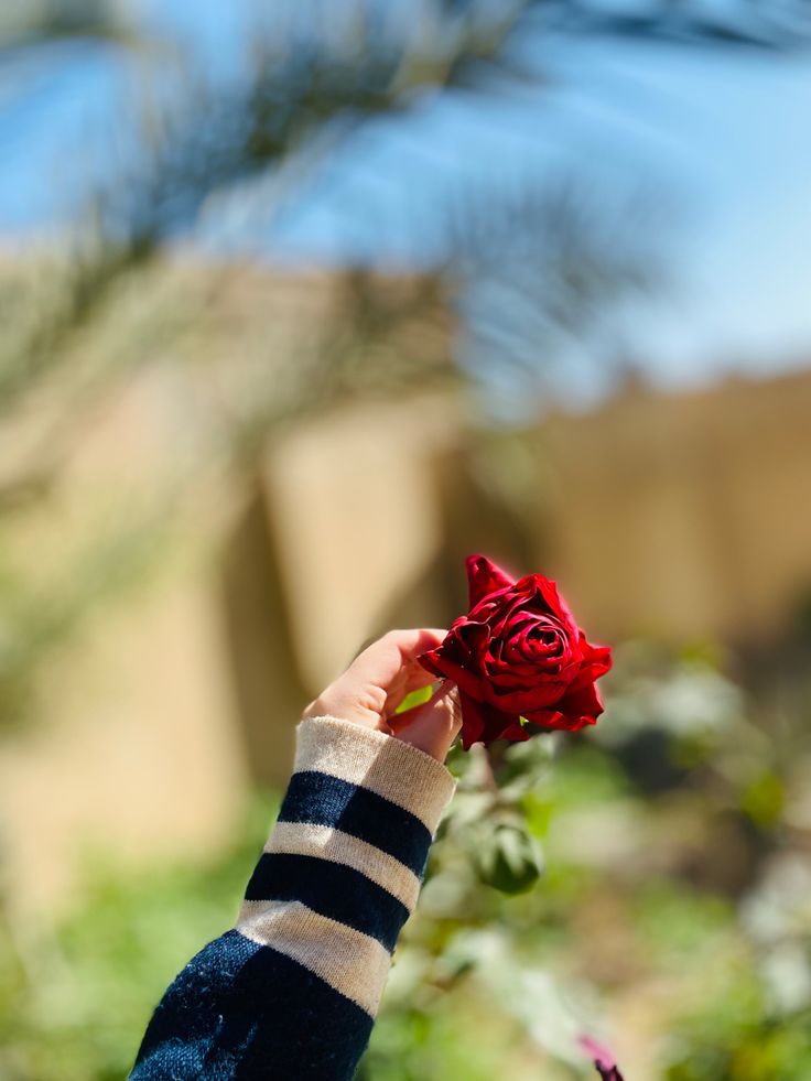 عکس دست دختر 33