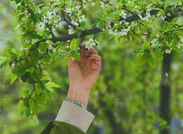 عکس دست دختر فیک برای پروفایل []