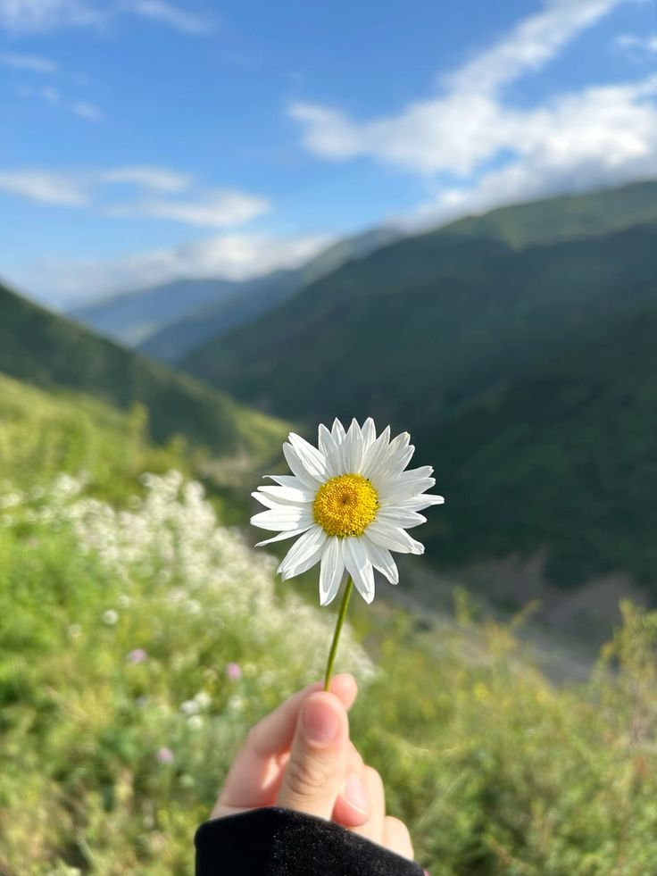 عکس دست دختر 75