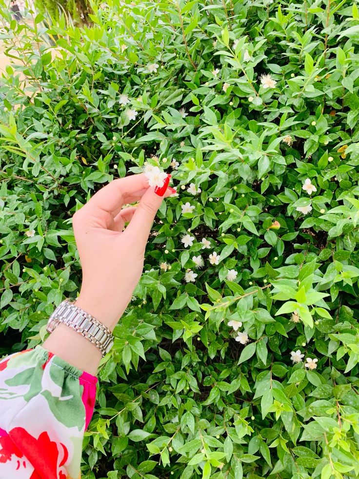 عکس دست دختر 77