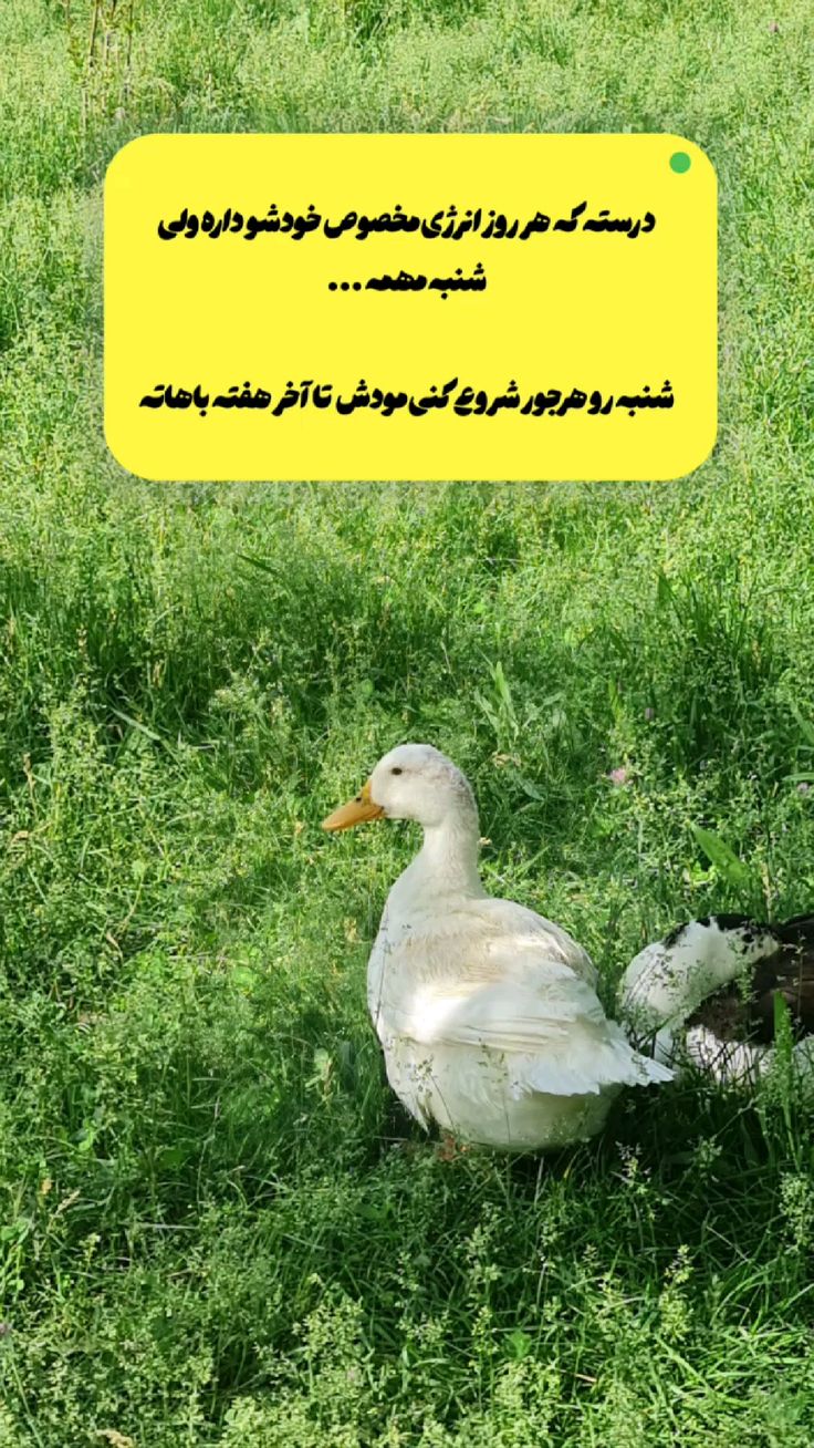 عکس نوشته سلام صبح شنبتون بخیر -1 عکس نوشته سلام صبح شنبتون بخیر 1