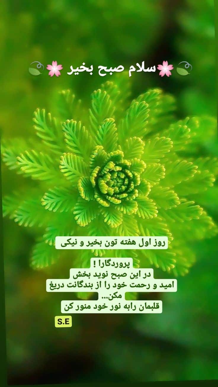 عکس نوشته سلام صبح شنبتون بخیر -16 عکس نوشته سلام صبح شنبتون بخیر 16