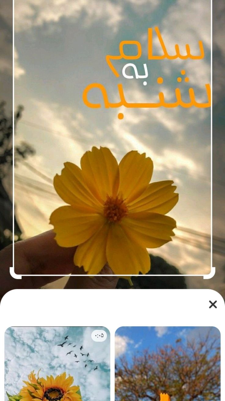 عکس نوشته سلام صبح شنبتون بخیر 19