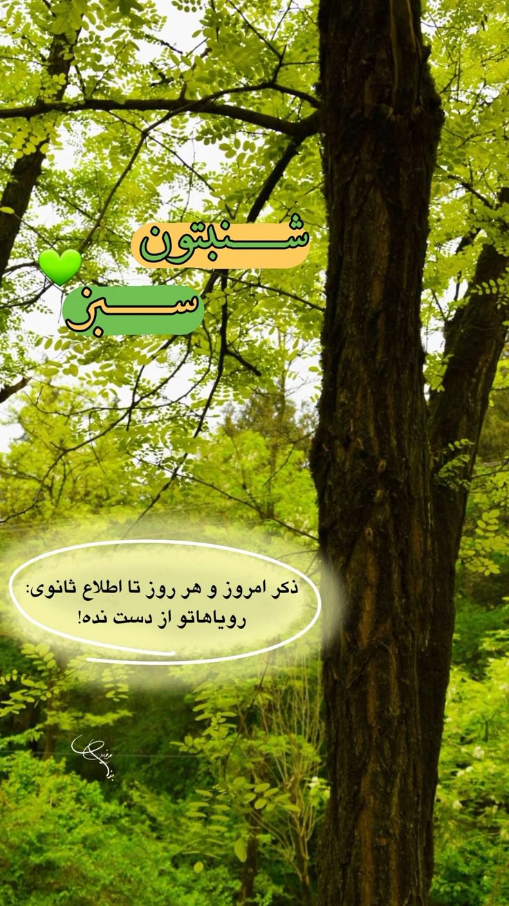 عکس نوشته سلام صبح شنبتون بخیر -2 عکس نوشته سلام صبح شنبتون بخیر 2