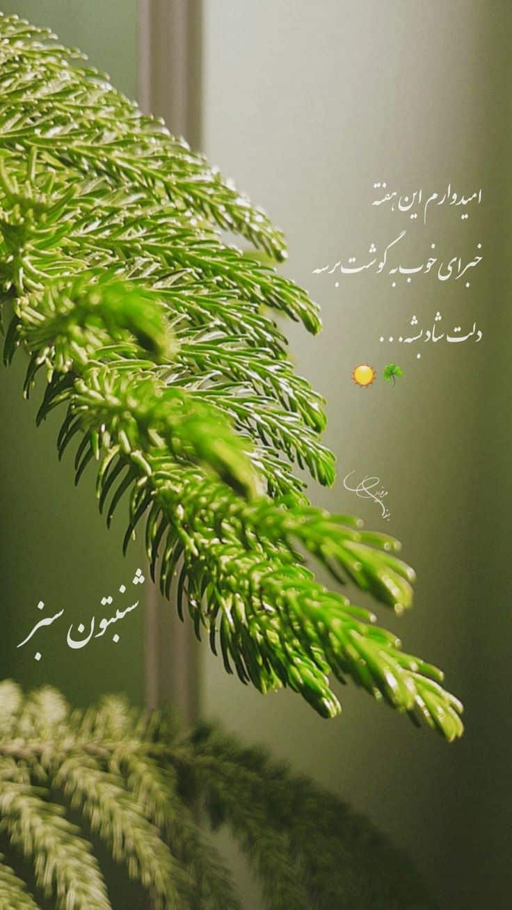 عکس نوشته سلام صبح شنبتون بخیر -8 عکس نوشته سلام صبح شنبتون بخیر 8