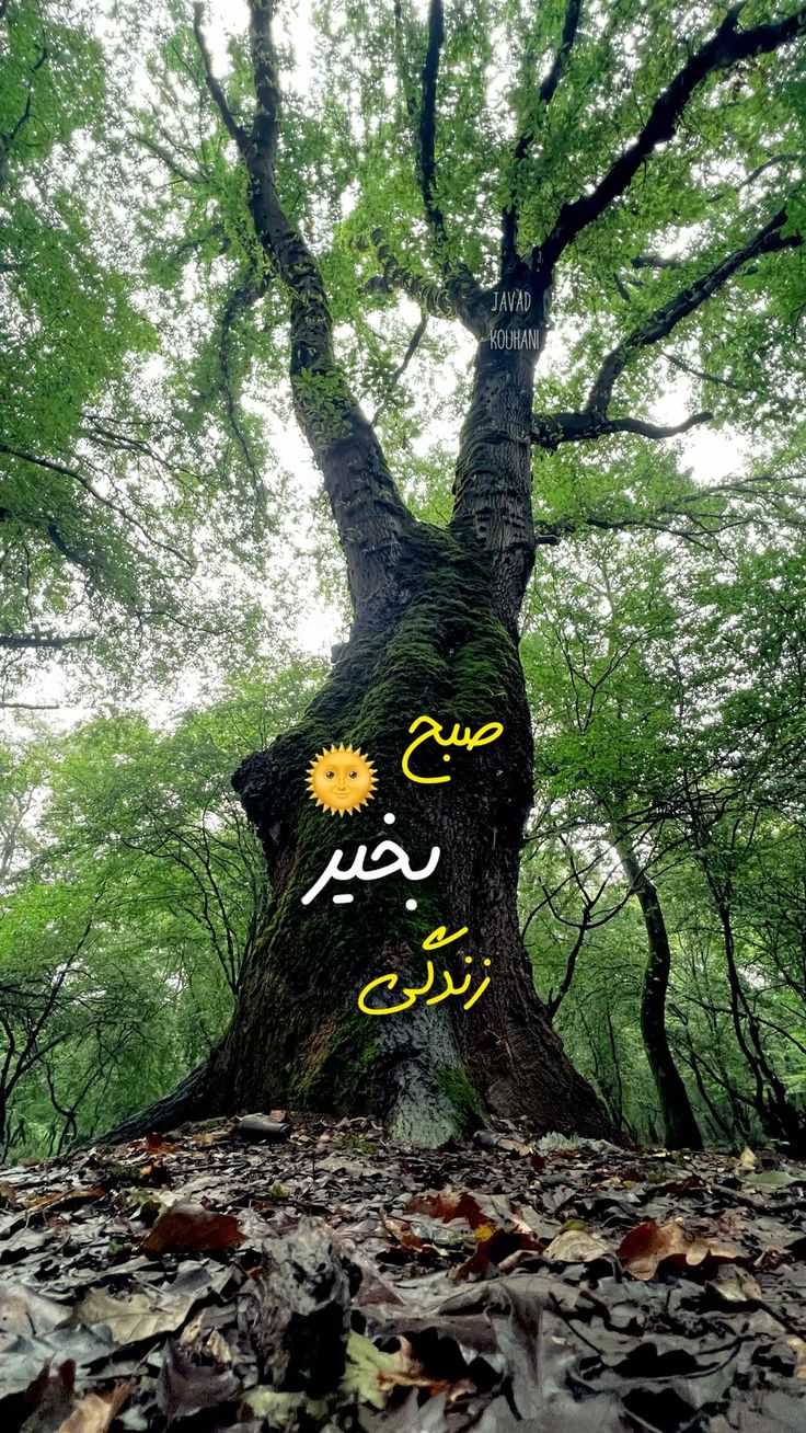 عکس نوشته های سلام صبح بخیر پر انرژی 1