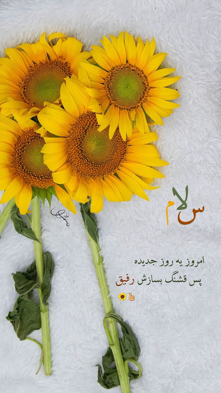 عکس نوشته های سلام صبح بخیر پر انرژی -13 عکس نوشته های سلام صبح بخیر پر انرژی 13