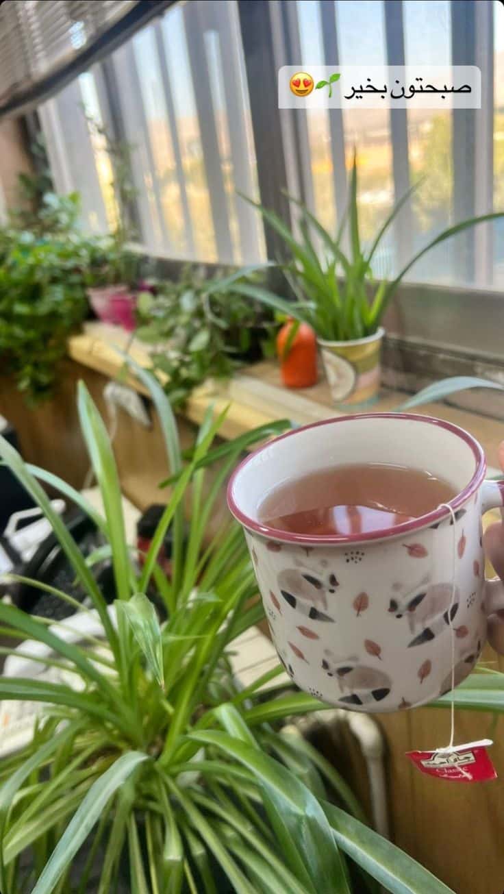 عکس نوشته های سلام صبح بخیر پر انرژی 35