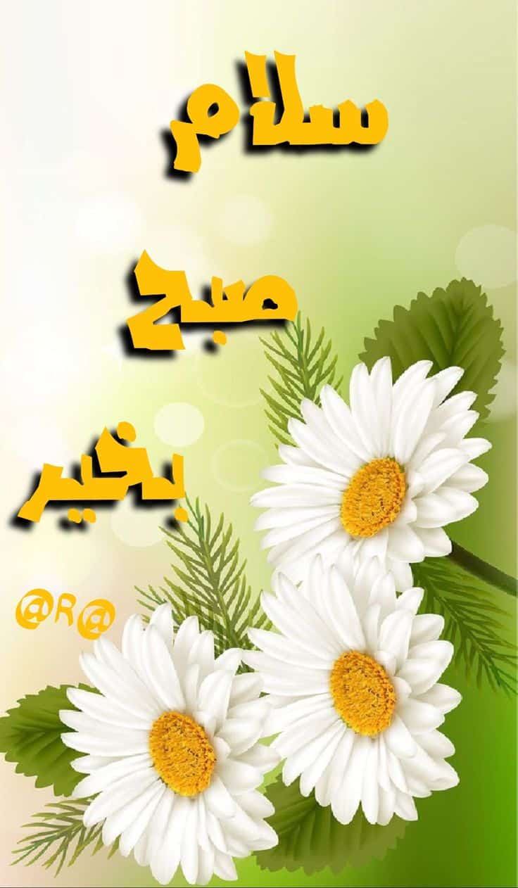 عکس نوشته های سلام صبح بخیر پر انرژی 58