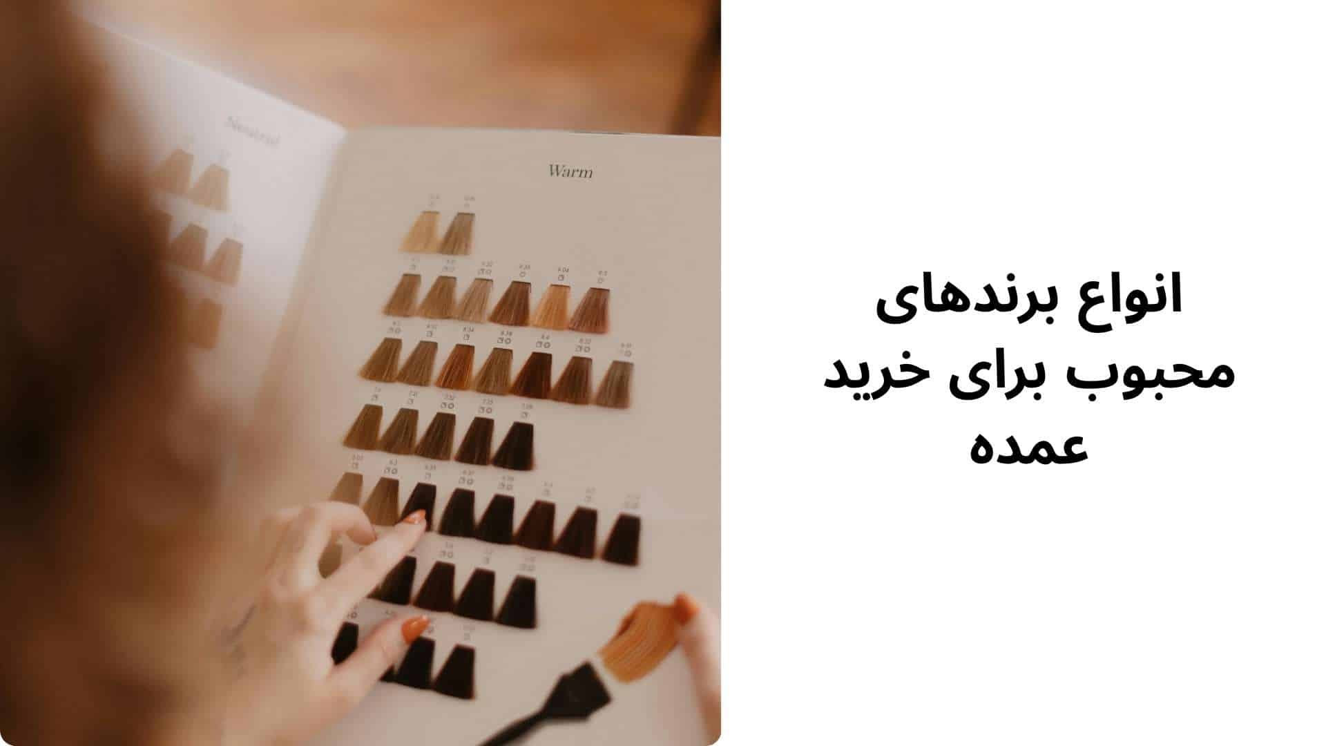 انواع برندهای محبوب برای خرید عمده