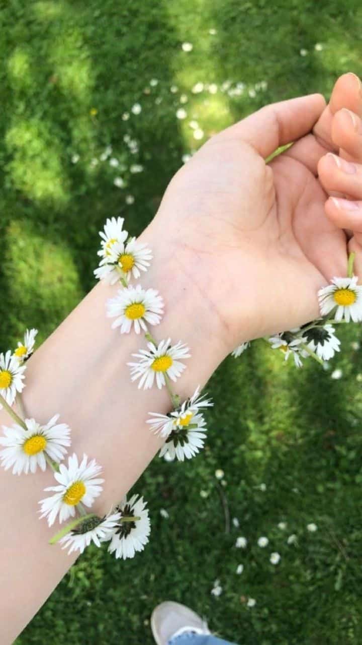 عکس دختر با گل بابونه 22