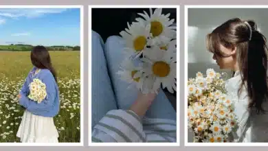 عکس دختر با گل بابونه برای پروفایل 🌼 [خاص و جدید]
