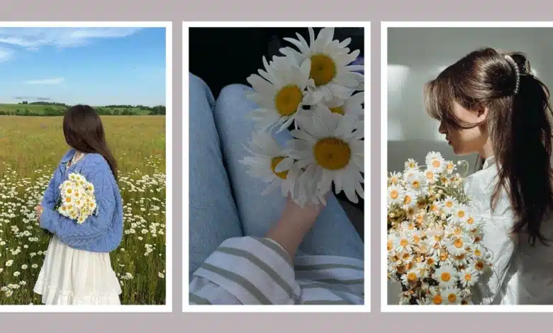عکس دختر با گل بابونه برای پروفایل 🌼 [خاص و جدید]