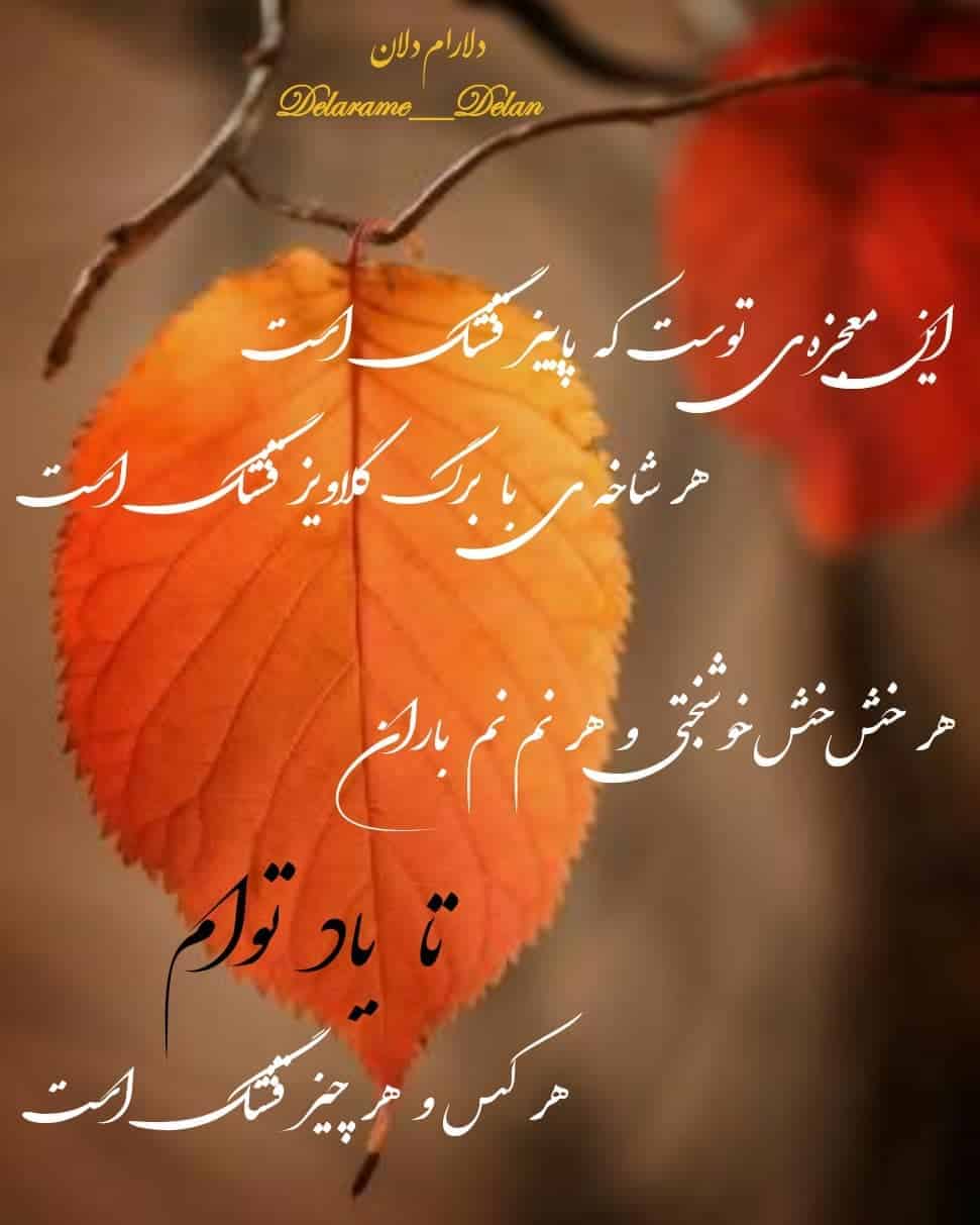 عکس نوشته های زیبا و عاشقانه پاییزی