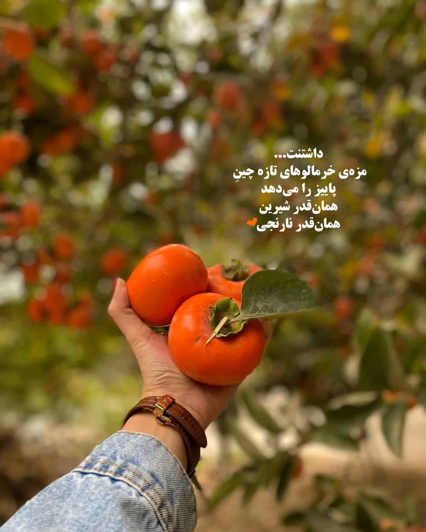 عکس نوشته های زیبا و عاشقانه پاییزی