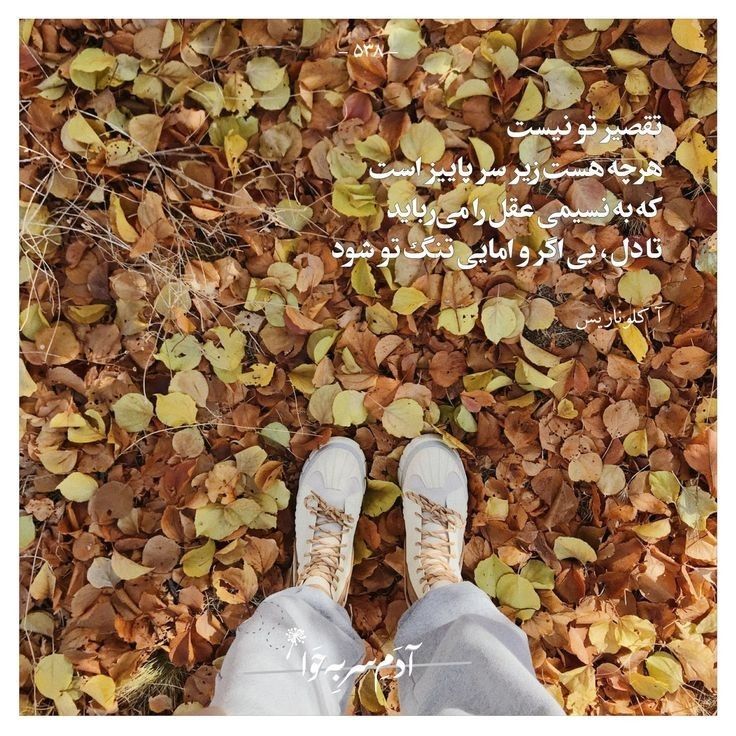 عکس نوشته های زیبا و عاشقانه پاییزی