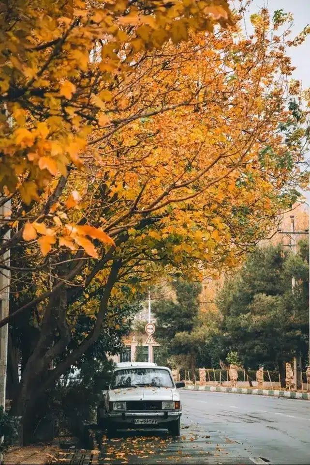 عکس پاییز بارانی