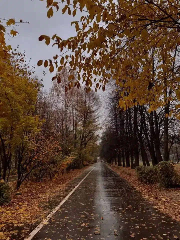 عکس پاییز بارانی